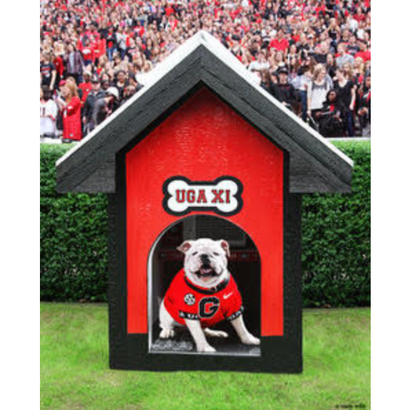 Uga XI Dawghouse Print