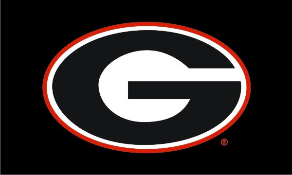 UGA Power G 3x5 Applique House Flag