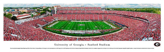 UGA 2018 Sanford Stadium Unframed Panoramic