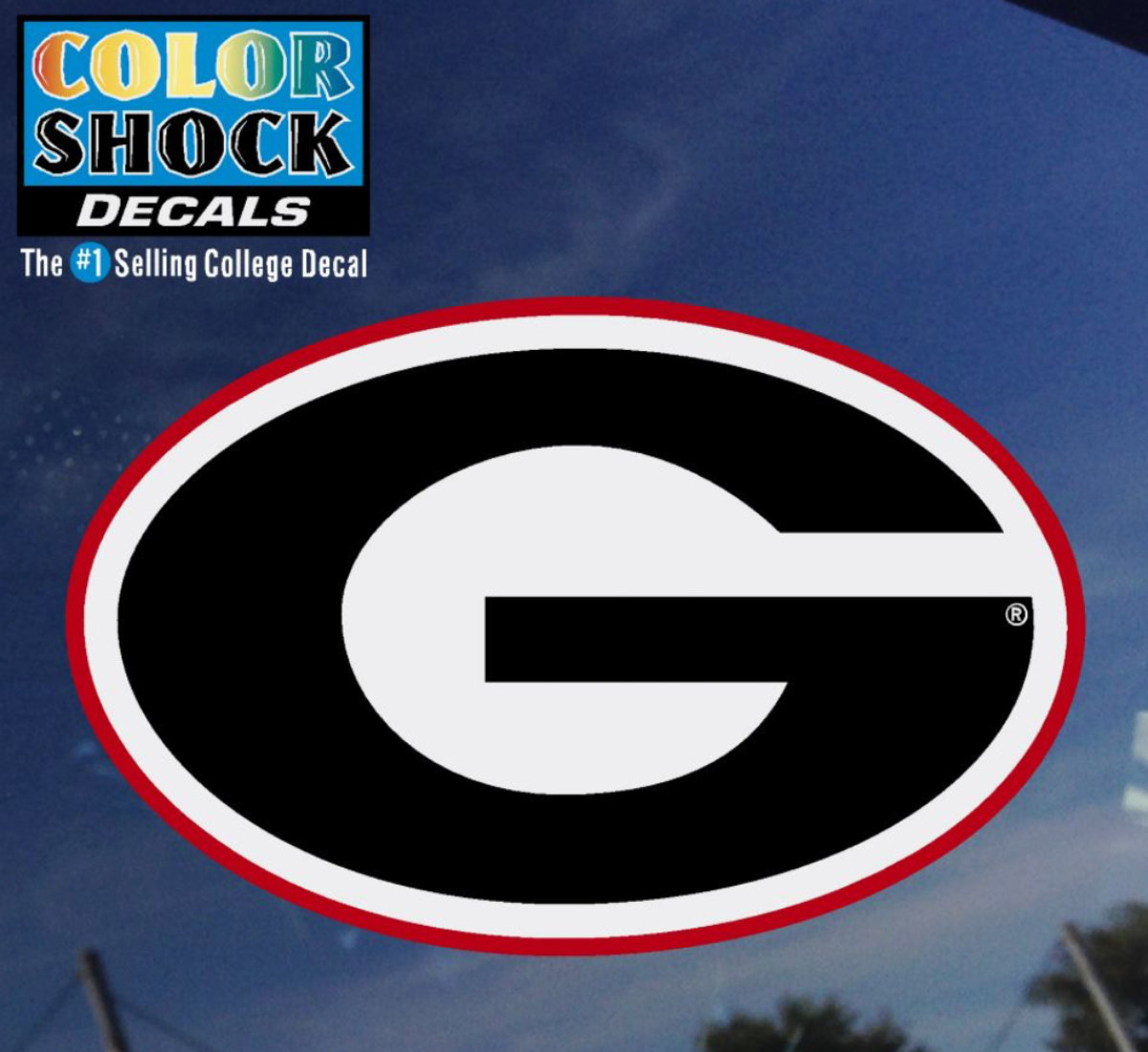 Georgia G Medium Decal