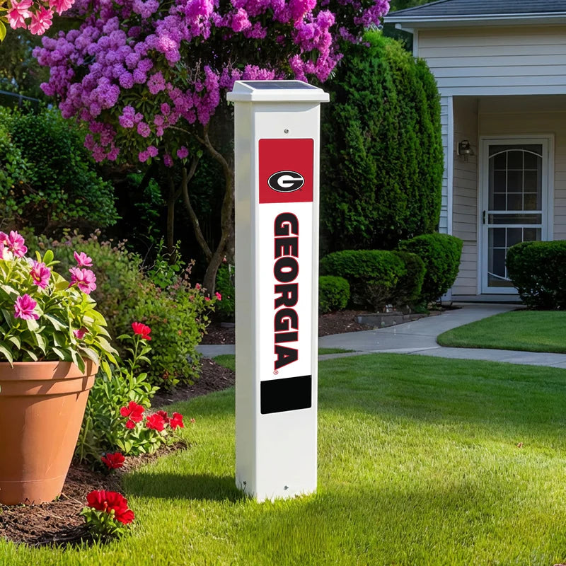 UGA Team Glow Post